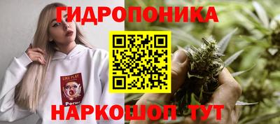 не бодяженный Волгодонск