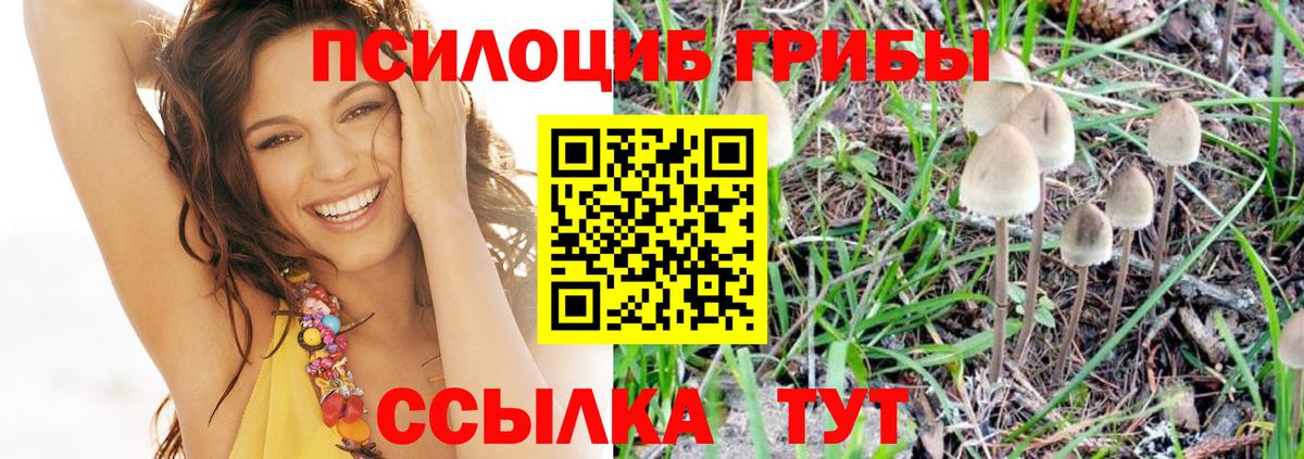 Псилоцибиновые грибы прущие грибы  Вход с VPN  Прокопьевск 