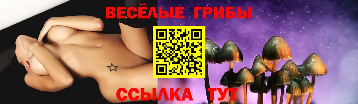 Галлюциногенные грибы прущие грибы Прокопьевск